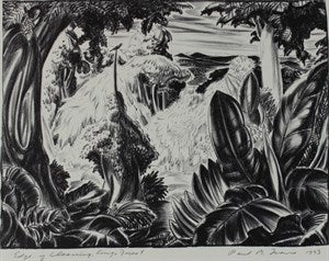 Image description is not available for DU1965.11